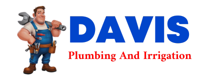 Trusted plumber in RAVENDEN SPRINGS